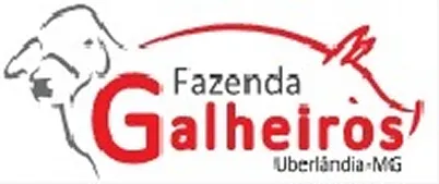 fazenda galheiros logo